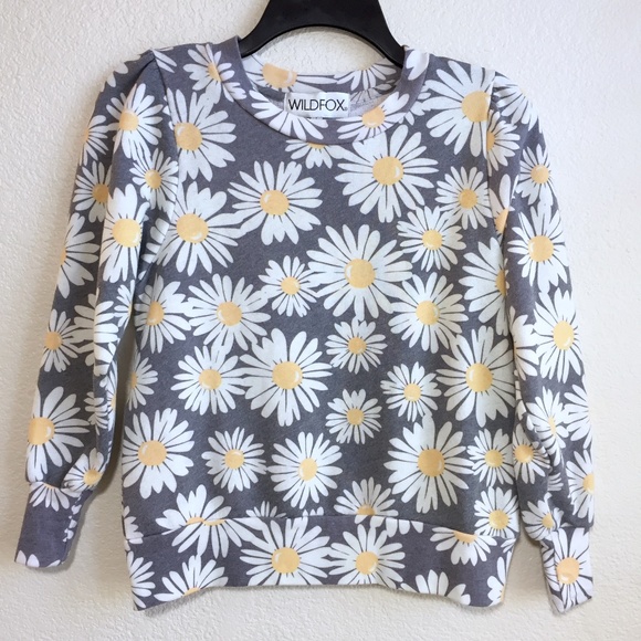 Wildfox Sweaters - NOT FOR SALE